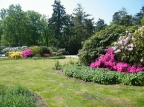 Rhododendronpark 8